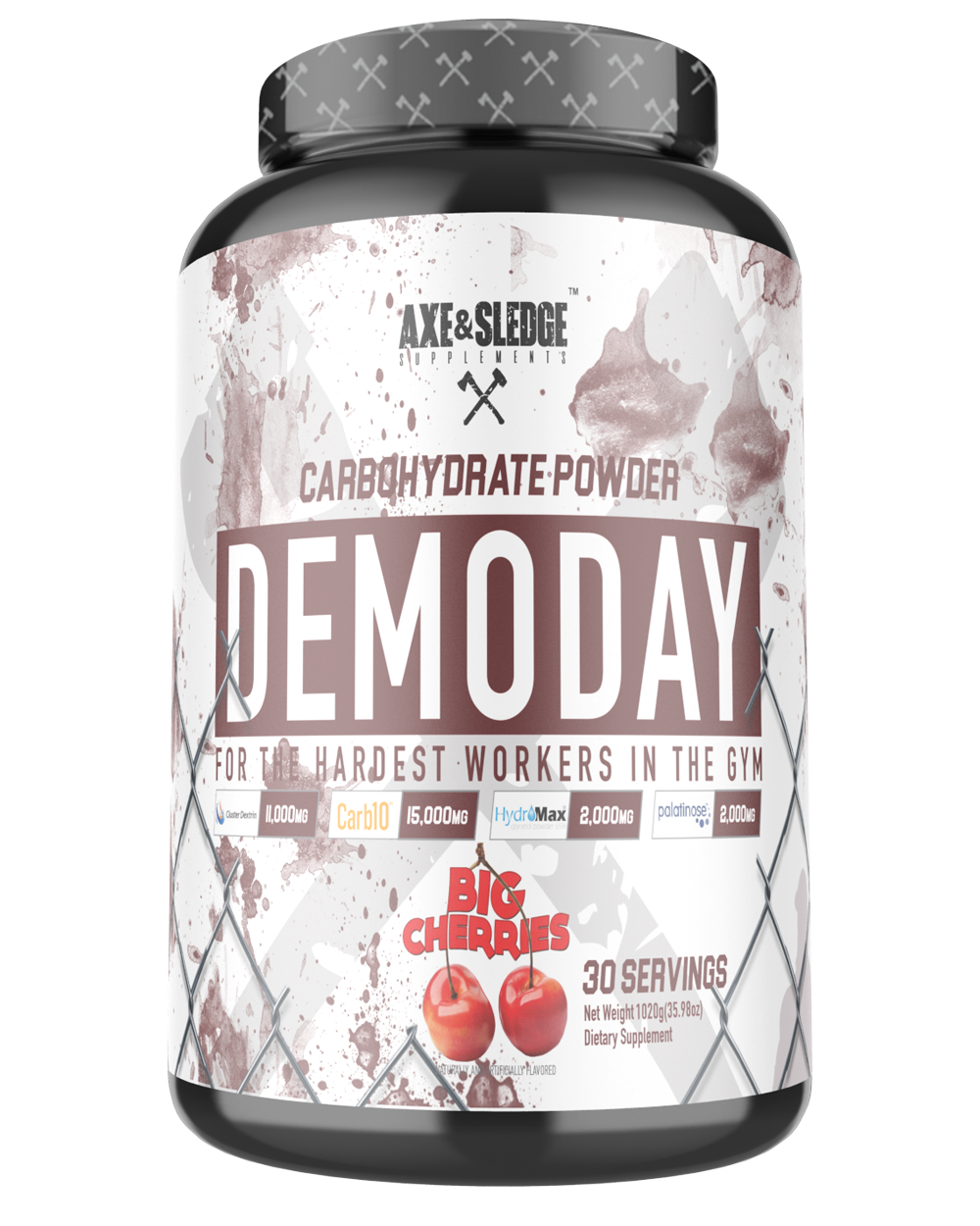 DEMO DAY