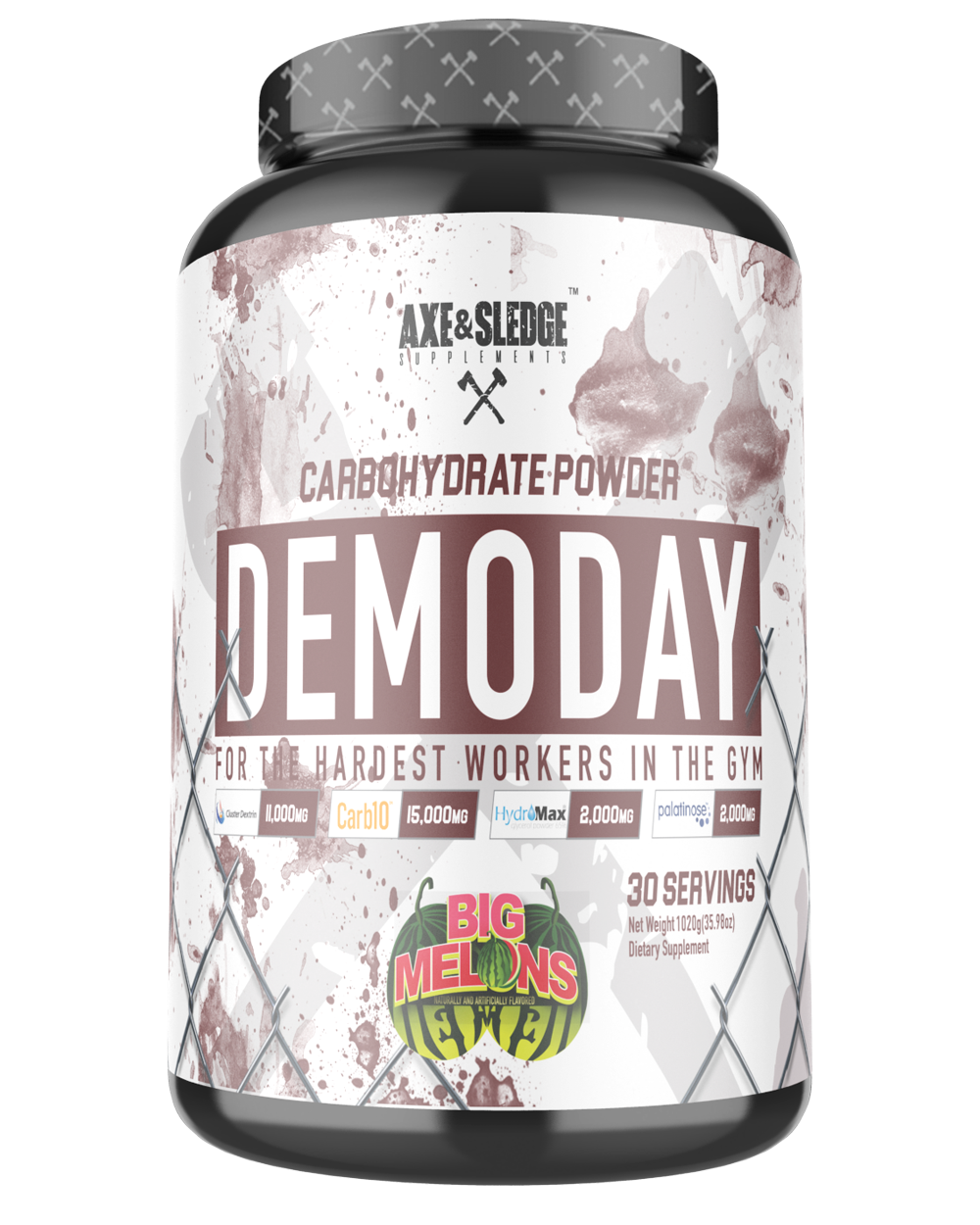 DEMO DAY