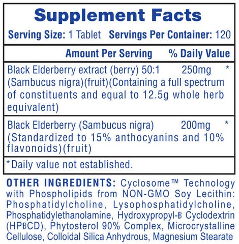 BLACK ELDERBERRY